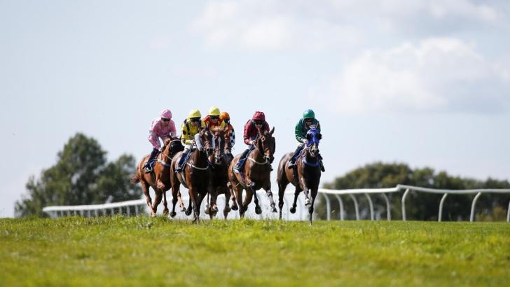 Bath Racecourse